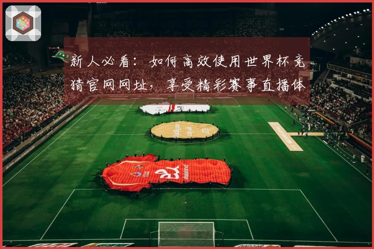 新人必看：如何高效使用世界杯竞猜官网网址，享受精彩赛事直播体验