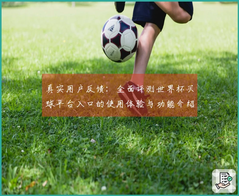 真实用户反馈：全面评测世界杯买球平台入口的使用体验与功能介绍