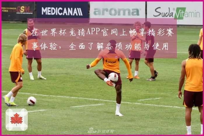 在世界杯竞猜APP官网上畅享精彩赛事体验，全面了解各项功能与使用攻略