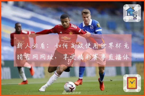 新人必看：如何高效使用世界杯竞猜官网网址，享受精彩赛事直播体验